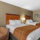 Comfort Inn & Suites Marion I-57, Marion (fotografie 6)