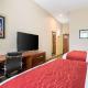 Comfort Inn & Suites Harrisburg - Hershey West, Harrisburg (Foto 3)
