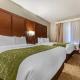 Comfort Suites Grand Island South, 格兰德岛 - 照片 6