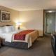 Comfort Inn Indianapolis South I-65 - Photo 2