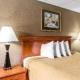 Econo Lodge Inn & Suites Gatlinburg at the Convention Center - Photo 8