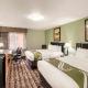Quality Inn & Suites Plano East - Richardson, Plano - Fotografie 2