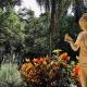 Villa Serena Bed & Breakfast, Embu - Fotografie 7