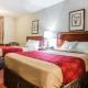 Econo Lodge Inn & Suites Matthews - Charlotte, Matthews (foto 2)