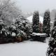 Pensiunea Lucy, Sinaia - Fotografie 3