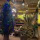 Eco Palms House - Sapa Retreat, Sa Pa (photo 10)