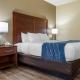 Comfort Inn & Suites High Point - Archdale, Archdale (fotografie 4)