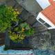 VILLA SERVANDA - Casa Canaria construida a PRINCIPIOS DEL SIGLO XIX, Puntagorda (fotografie 9)