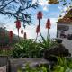VILLA SERVANDA - Casa Canaria construida a PRINCIPIOS DEL SIGLO XIX, Puntagorda (fotografie 8)