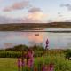 Waterfront Rest B&B Clifden - Fotografie 7