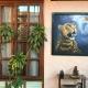 Casa de Palos Boutique, タラポト - 写真 4
