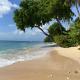 Westmoreland Hills - Mount Standfast - St James - Full Gym Membership, Saint James - Foto 5