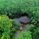 Hidden Treehouse in Khao Yai (8 PAX), Nong Nam Daeng