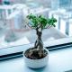 Hilltop Serviced Apartments - Deansgate, Manchester - Fotografie 9
