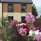 Willow Mews