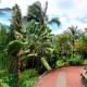 Loc974 Les Cocotiers, Saint-Leu - Photo 3
