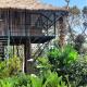 Noah's Nest Tree House, Thekkady - Fotografie 1