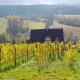 Utopia Dom przy winnicy, Nowica