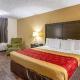 Econo Lodge Inn & Suites Matthews - Charlotte, Matthews (foto 10)