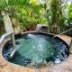 Paradise Hot Springs - Thermal Water & Volcano Views, Fortuna - Foto 4