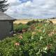 Crossgates, Rosehearty, Rosehearty (fotografie 10)