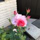 Anitas B&B Stockholm/Vällingby, Stockholm (photo 5)