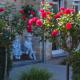 B&B De Watering Lommel - Photo 4