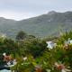dk villas 4 Riverview, Hout Bay - Fotografie 9