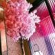 Sakura Sky Hotel - Vacation STAY 18432v, Tokio - Fotografie 9