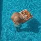 Agava Lux Rooms&Pool, Spalato (Split) - Foto 1