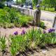 Proctor Mansion Inn, Wrentham (fotografie 5)