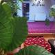 HOTEL ALL TIMES, Timisul de Jos - Foto 10