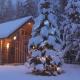 Cabane- Vila Crinul si Teodor Poiana Brasov, ポイアナ・ブラショフ - 写真 8