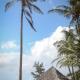 Bamba Kofi Lodge, Watamu - Φωτογραφία 7