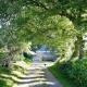 Cornwall, Looe - Magical Pendriffey Pelynt - Photo 2