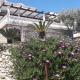 Villa Rosa, Vela Luka (foto 8)