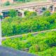 The Influential Square near India Expo Mart, Noida - Kuva 5