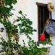 Casa Sub Magrin, Satu Bătrîn - Photo 9