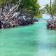 Combate Green House, Cabo Rojo