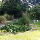 Sheephouse Manor, Maidenhead (foto 7)