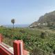 Banana House, Hermigua