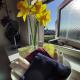Oak Lodge B&B Bude - Photo 8