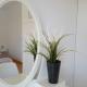 Beach house 30, Ialisos (foto 6)