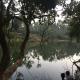 Coorg -Kunji Phad River View Homestay, Virajpet - Fotografie 4