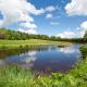 Crookston House B&B, Heriot (fotografie 9)