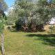 Apartman Ruža, Brzac (photo 7)