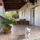 Holiday home in Vela Luka 6375, Vela Luka (Vallegrande) (foto 2)