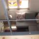 Holiday home in Rovinj - Istrien 11804, Rovigno (Rovinj) (foto 10)