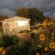 The Oaks Glamping - Jasper's Shepherds Hut Colkirk - Photo 5
