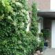 Ferienwohnung Illerhues, Ascheberg - Foto 6